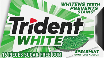 Trident White Spearmint Sugarfree Gum 16pc